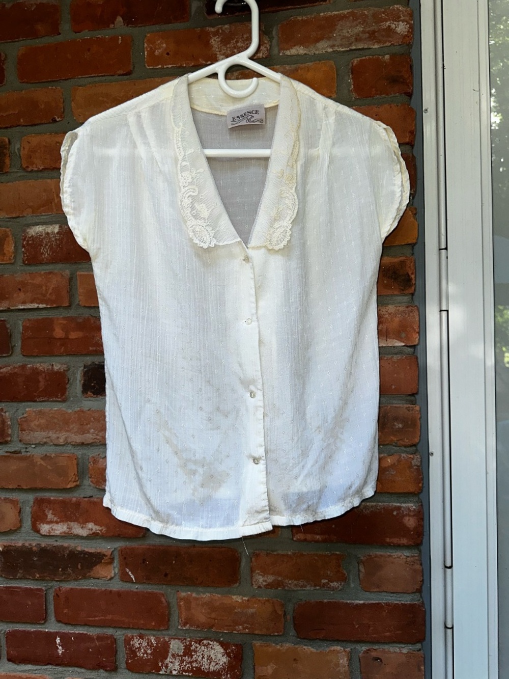 Vintage Essence Brand Cream Sheer Short Sleeve Blouse